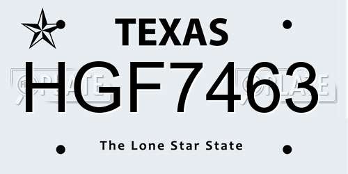 HGF7463 Texas License Plate