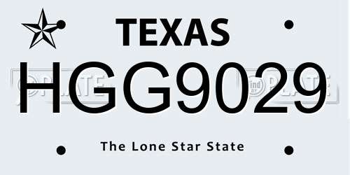 HGG9029 Texas License Plate