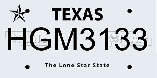 HGM3133 Texas License Plate