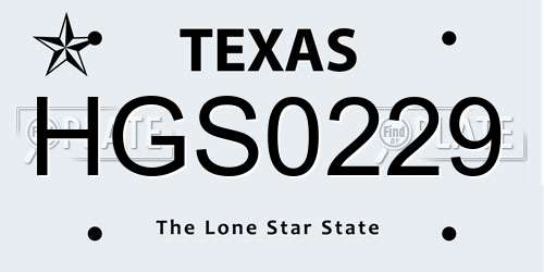 HGS0229 Texas License Plate