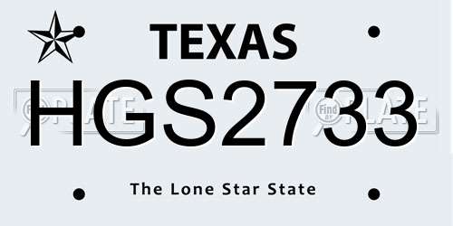 HGS2733 Texas License Plate