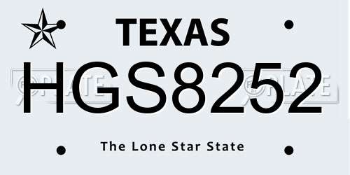HGS8252 Texas License Plate