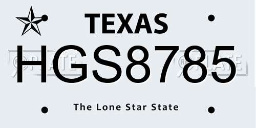 HGS8785 Texas License Plate