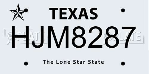 HJM8287 Texas License Plate