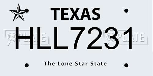 HLL7231 Texas License Plate