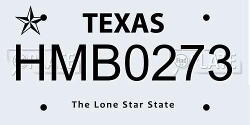 HMB0273 Texas License Plate