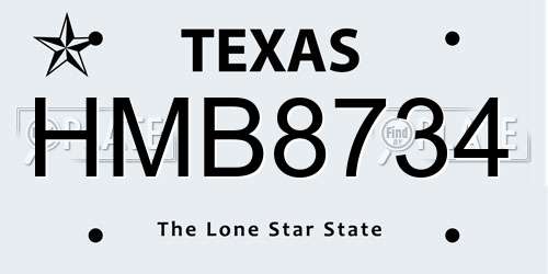 HMB8734 Texas License Plate