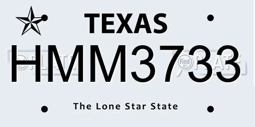 HMM3733 Texas License Plate