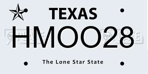 HMOO28 Texas License Plate