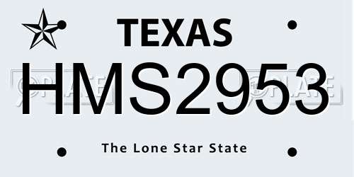 HMS2953 Texas License Plate