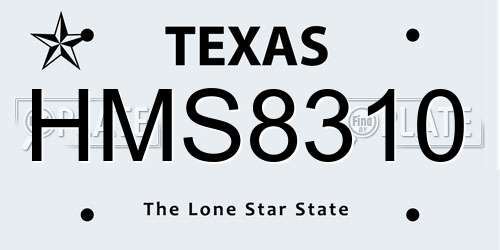 HMS8310 Texas License Plate