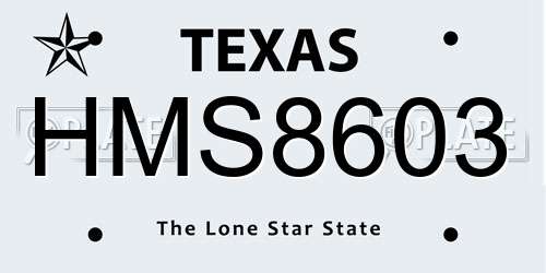 HMS8603 Texas License Plate