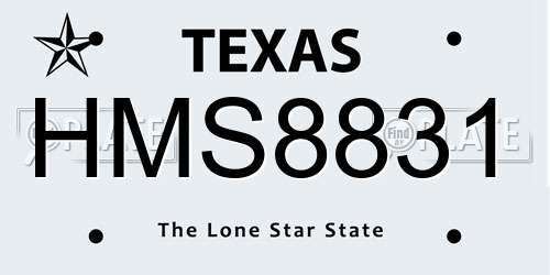 HMS8831 Texas License Plate