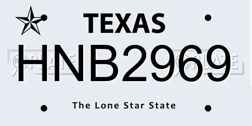 HNB2969 Texas License Plate