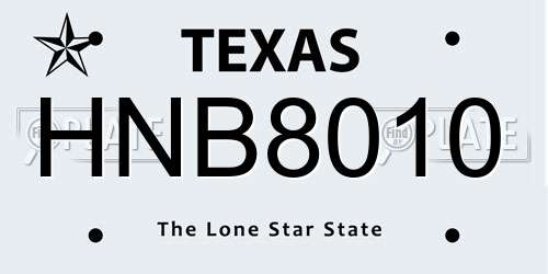 HNB8010 Texas License Plate