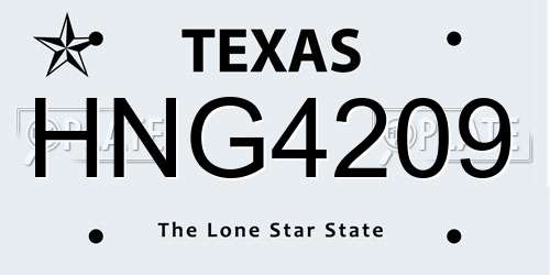 HNG4209 Texas License Plate