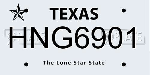 HNG6901 Texas License Plate