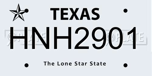 HNH2901 Texas License Plate