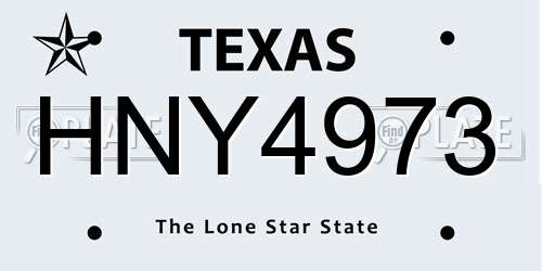 HNY4973 Texas License Plate