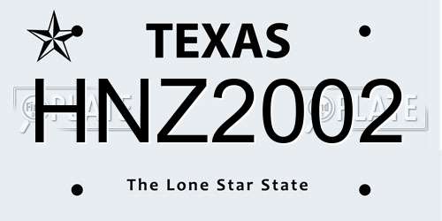 HNZ2002 Texas License Plate