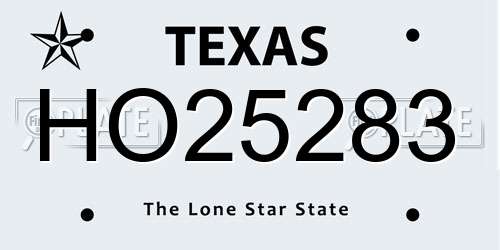 HO25283 Texas License Plate