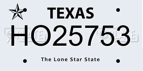 HO25753 Texas License Plate