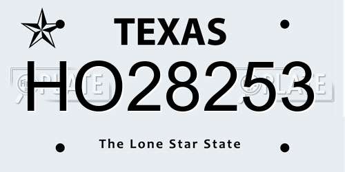 HO28253 Texas License Plate