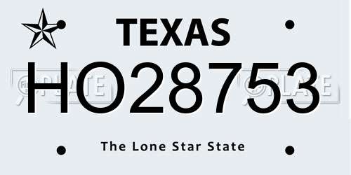 HO28753 Texas License Plate