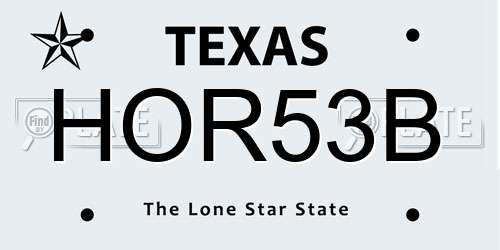 HOR53B Texas License Plate