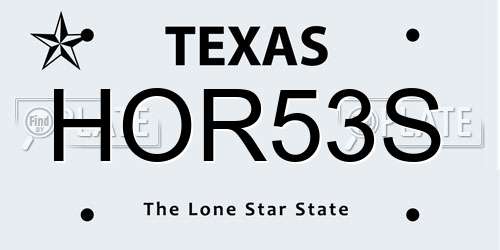 HOR53S Texas License Plate