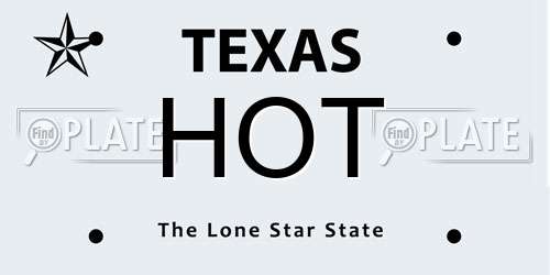 HOT Texas License Plate