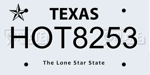 HOT8253 Texas License Plate
