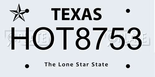 HOT8753 Texas License Plate