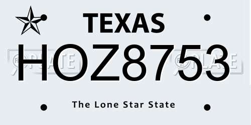 HOZ8753 Texas License Plate