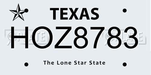 HOZ8783 Texas License Plate