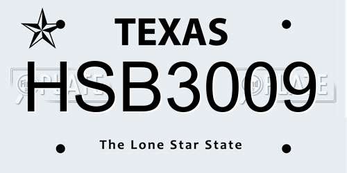 HSB3009 Texas License Plate