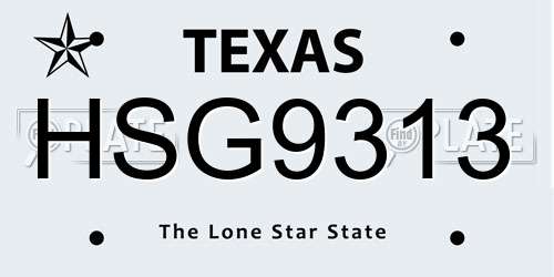 HSG9313 Texas License Plate