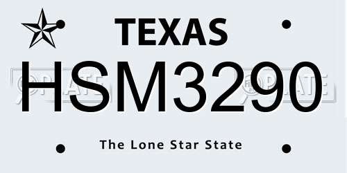 HSM3290 Texas License Plate