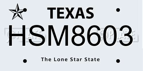 HSM8603 Texas License Plate