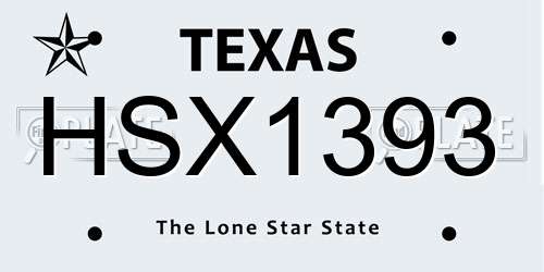 HSX1393 Texas License Plate