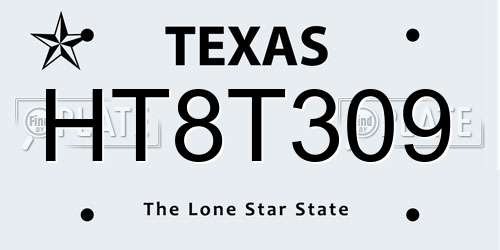 HT8T309 Texas License Plate