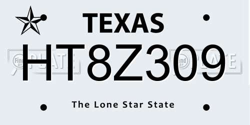 HT8Z309 Texas License Plate