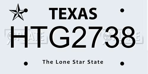HTG2738 Texas License Plate