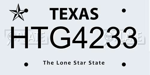 HTG4233 Texas License Plate