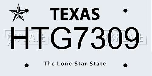 HTG7309 Texas License Plate