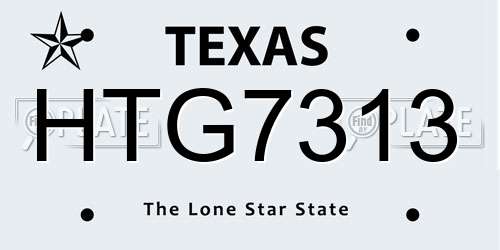 HTG7313 Texas License Plate
