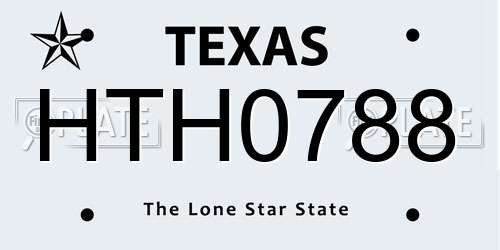 HTH0788 Texas License Plate