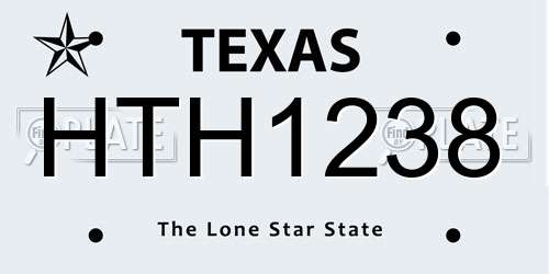 HTH1238 Texas License Plate