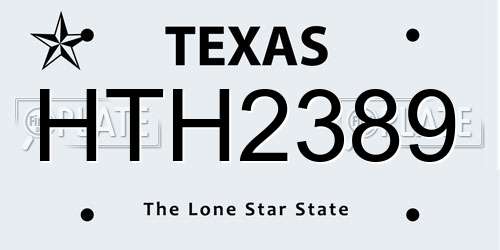 HTH2389 Texas License Plate