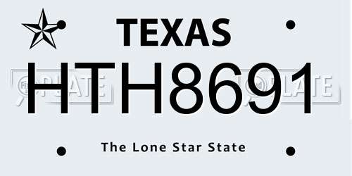 HTH8691 Texas License Plate